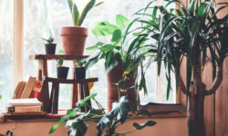 Phong thủy nhà ở: 5 yếu tố kích hoạt năng lượng tốt, hút tài lộc cực hiệu quả