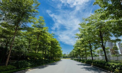Bán biệt thự khu D4 Ciputra – Tây Hồ 300m2 giá chỉ 140tr/m2