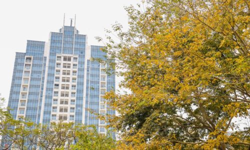 Cho thuê căn hộ L2 tầng cao 114m2 tại Ciputra Hà Nội